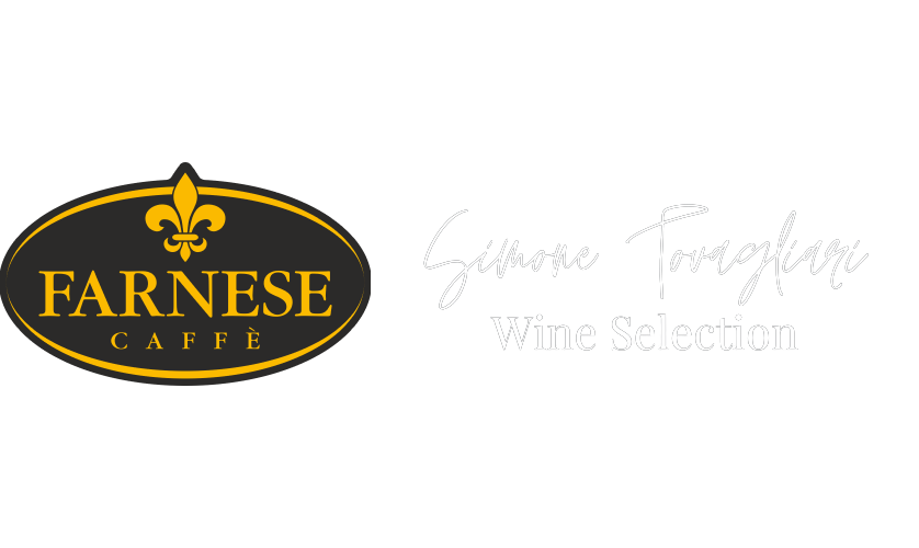 Simone Tovagliari logo